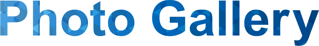 オフィス写真ギャラリー